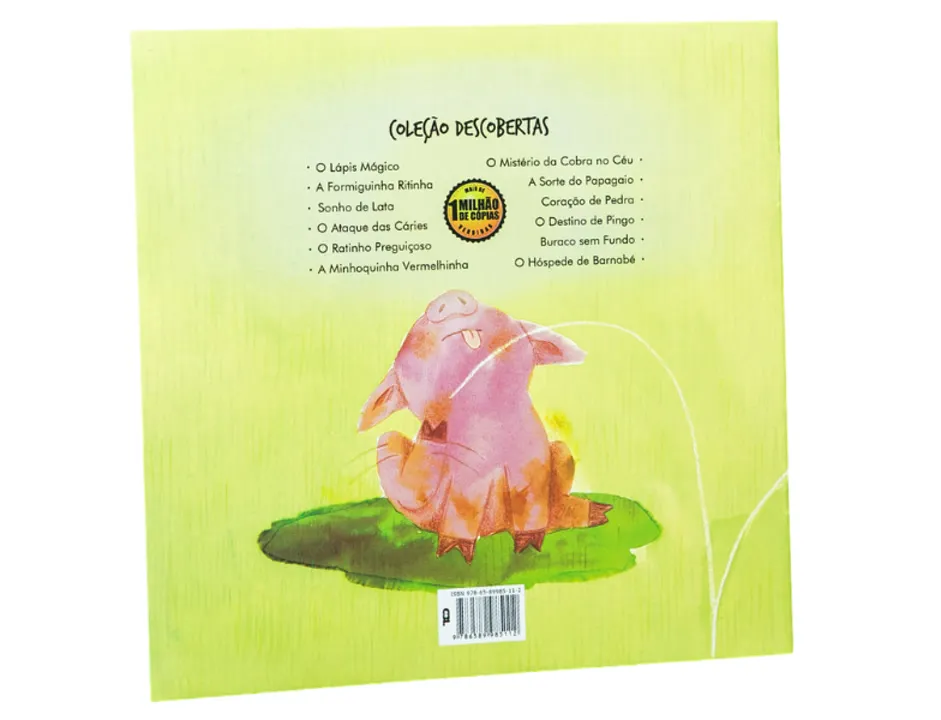 Imagem de O HÓSPEDE DE BARNABÉ